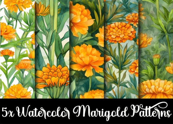 Watercolor Marigold Flower Patterns